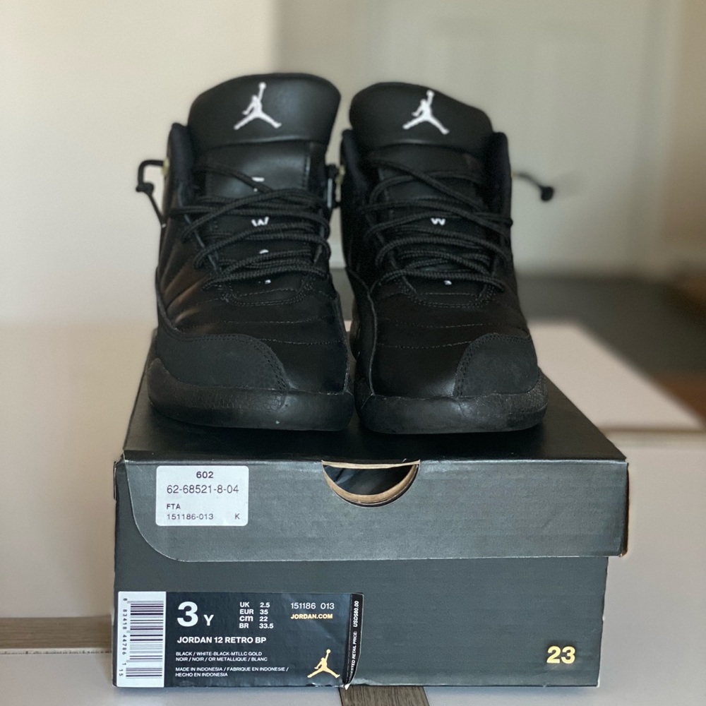 Master Jordan 12 3Y